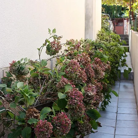 Family Friendly Seaside Arbanija, Ciovo - 5220 * Trogir