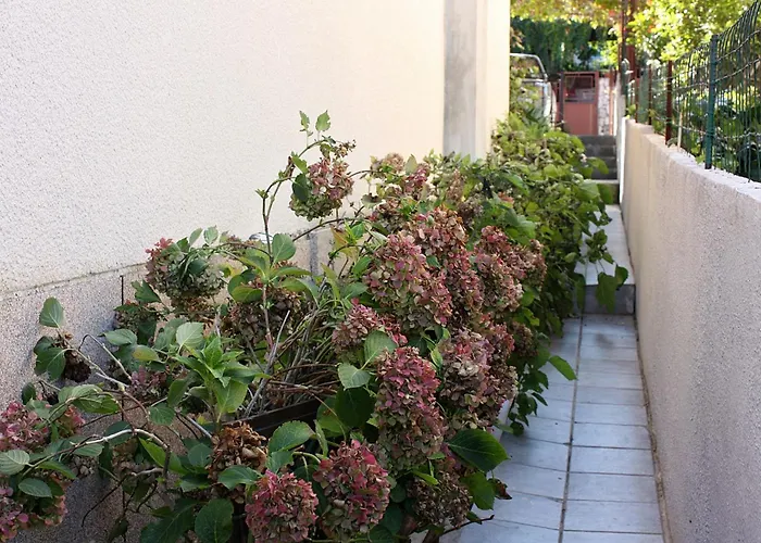 Family Friendly Seaside Arbanija, Ciovo - 5220 * تروغير