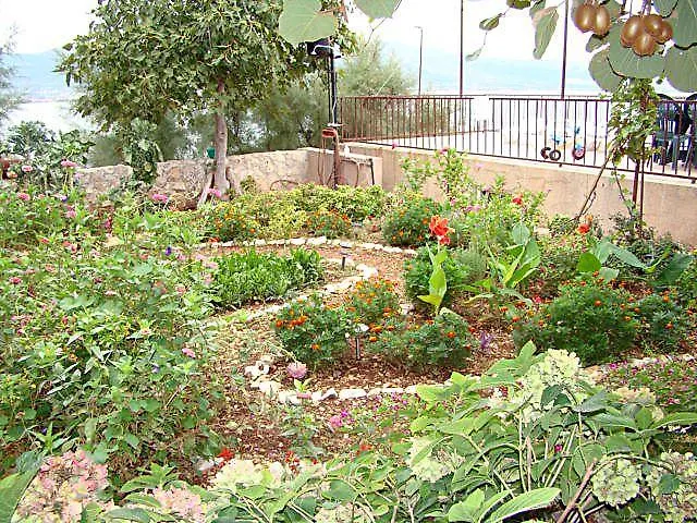 Family Friendly Seaside Arbanija, Ciovo - 5220 *